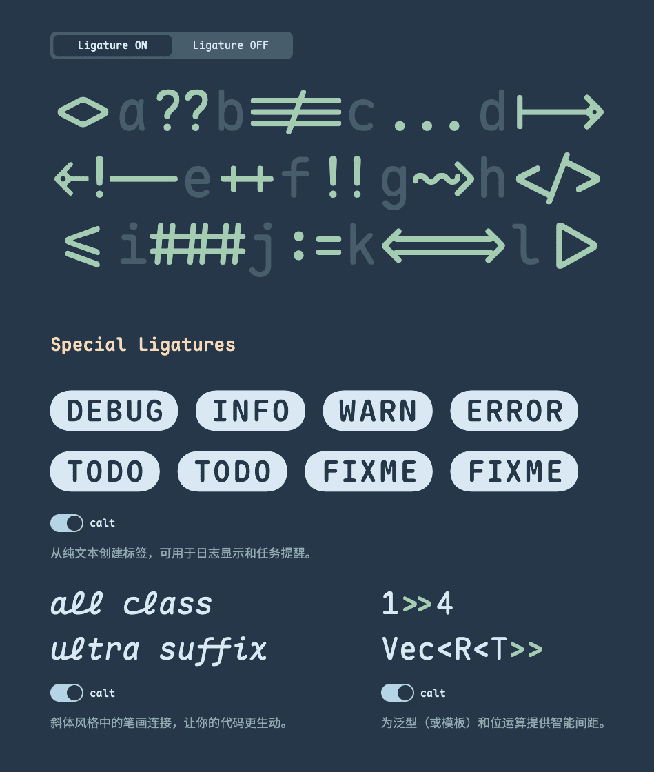 展示了 Maple Mono 字体的连字效果